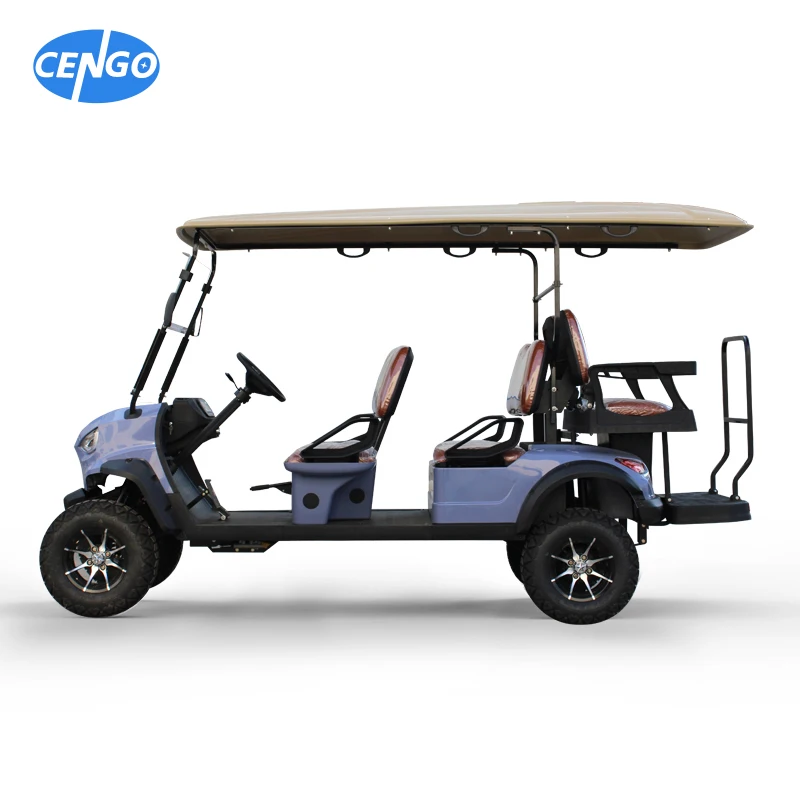 Good Quality Custom USA 2 4 6Seater Electric Powered Golf Cart Chinese Hydraulic 4 Wheel Disc