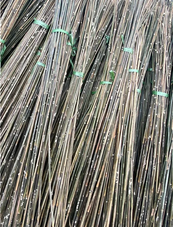 Nature Straight Strong Bamboo Canes Bamboo Poles/raw Bamboo Material/bamboo Canes