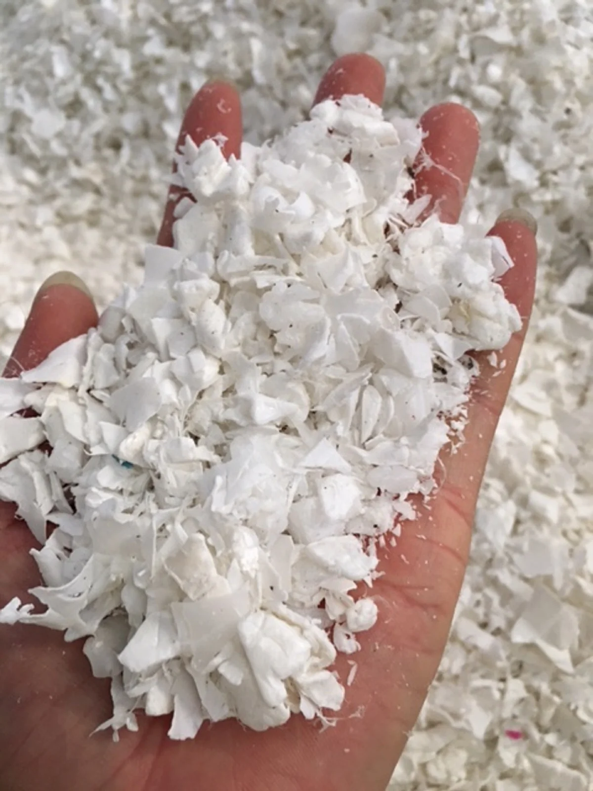 HDPE Milk Bottles Scrap/HDPE Plastic Scrap/HDPE Milk Bottle Regrind