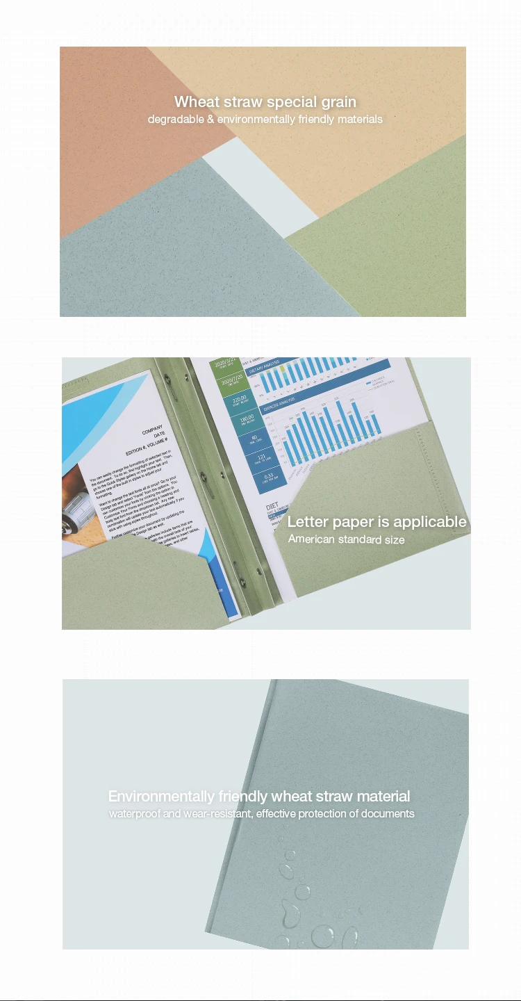 office school supplies two pockets plastic presentation report file folder with 3 prongs 2 pocket business card slot