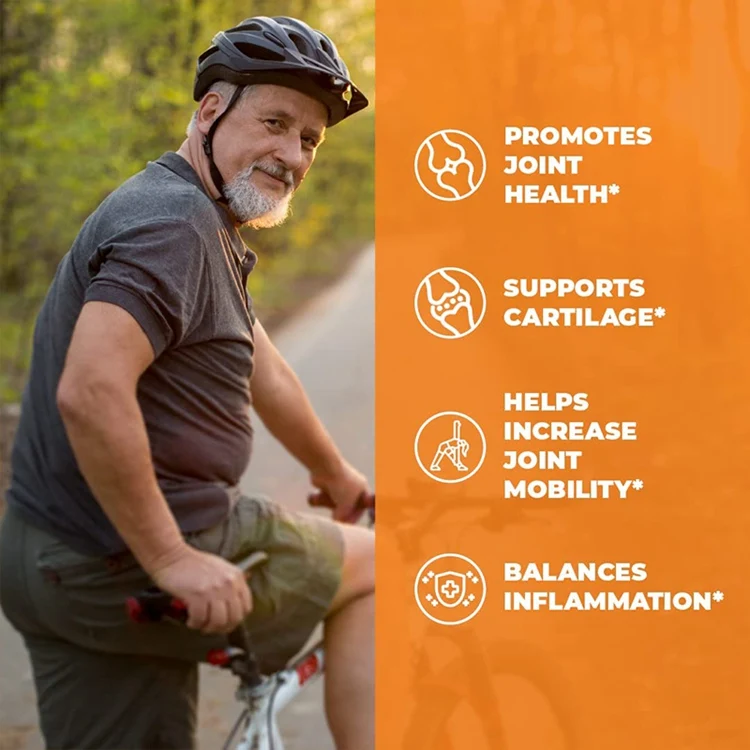 Glucosamine Chondroitin MSM Capsules sulfate tablets Joints Support Supplement Turmeric Capsule Glucosamine Chondroitin Capsules