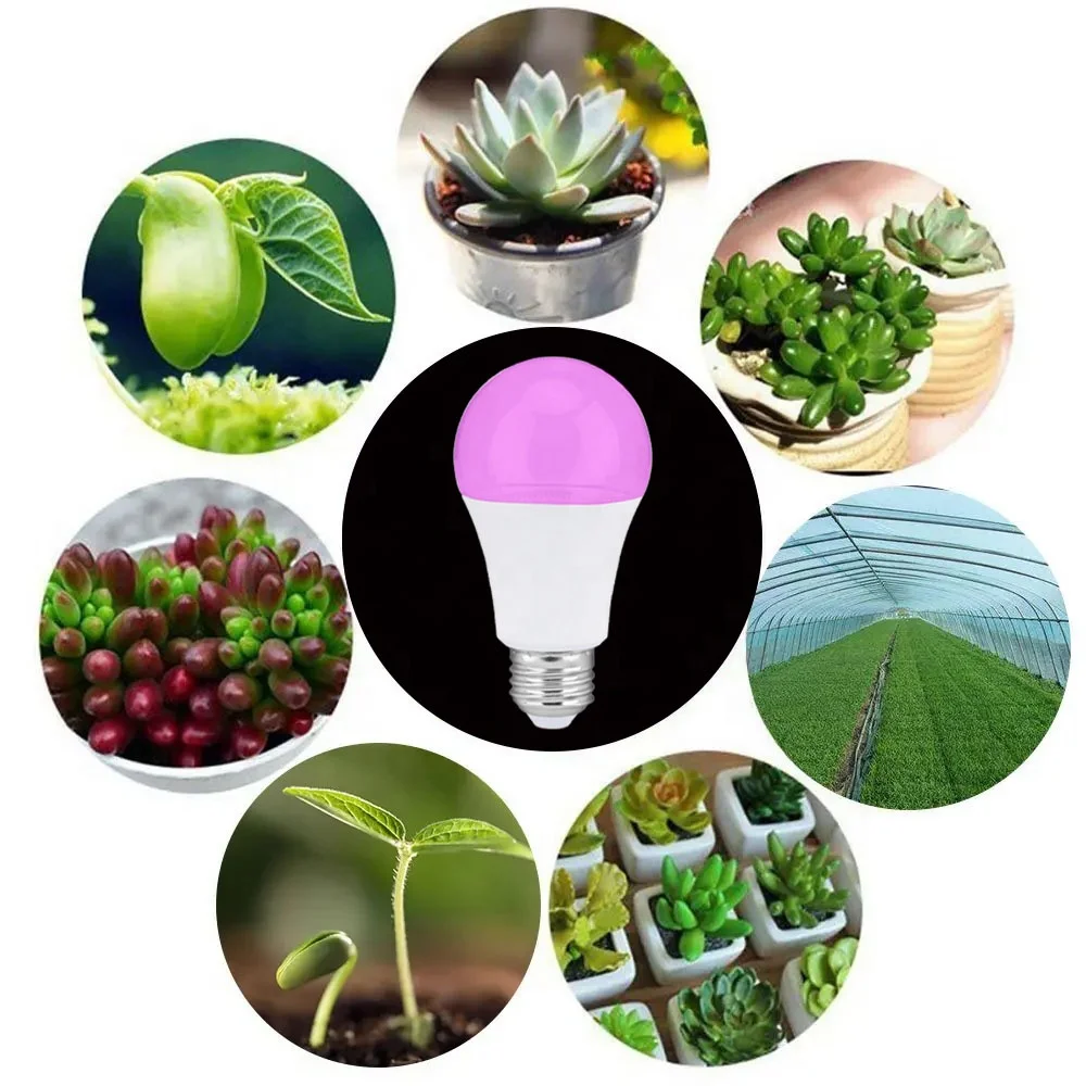 Профессиональная фабрика по производству домашнего парниковых Крытый расти растущий свет полный спектр Светодиодная лампа 9 Вт для сельскохозяйствнных ламп