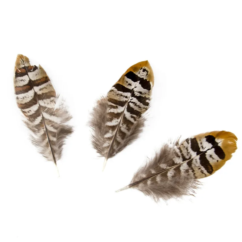 50 Piece/Bag Natural colorful wild chicken feather figure Pheasant feathers for DIY garment craft accessories width 6-16 cm