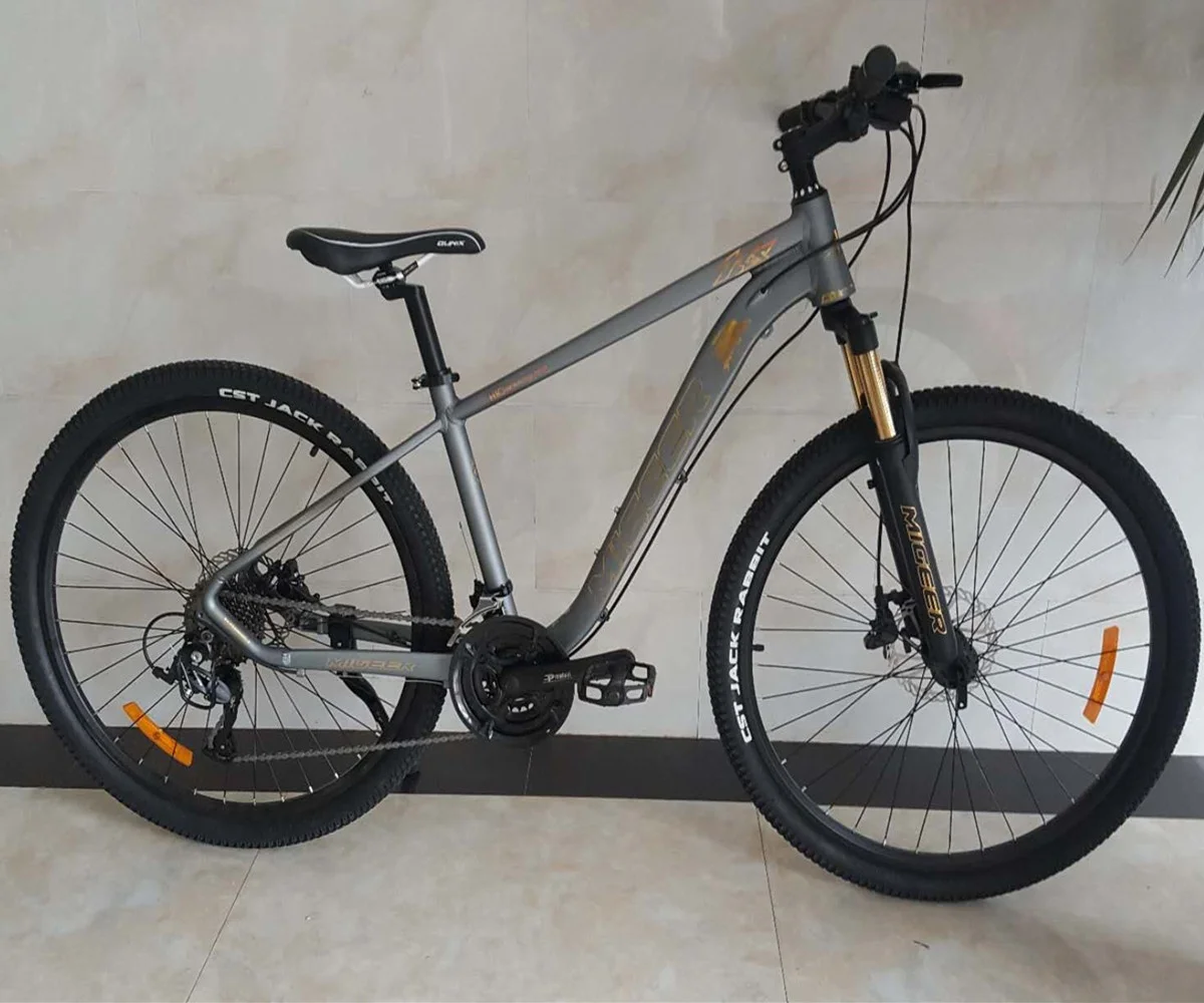 Aluminum Alloy Fork Material and 20 KGS Net Weight 29 MTB