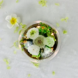 Wholesale preserved Dandelion eternal preserved rose in glass dome for Living Room Decoration Dried Flower Christmas gift
