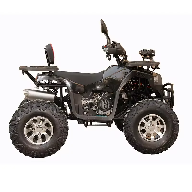 Aotong 2024 New Quad ATV Adult 200CC Farm ATV Cuatrimoto 300cc ATV