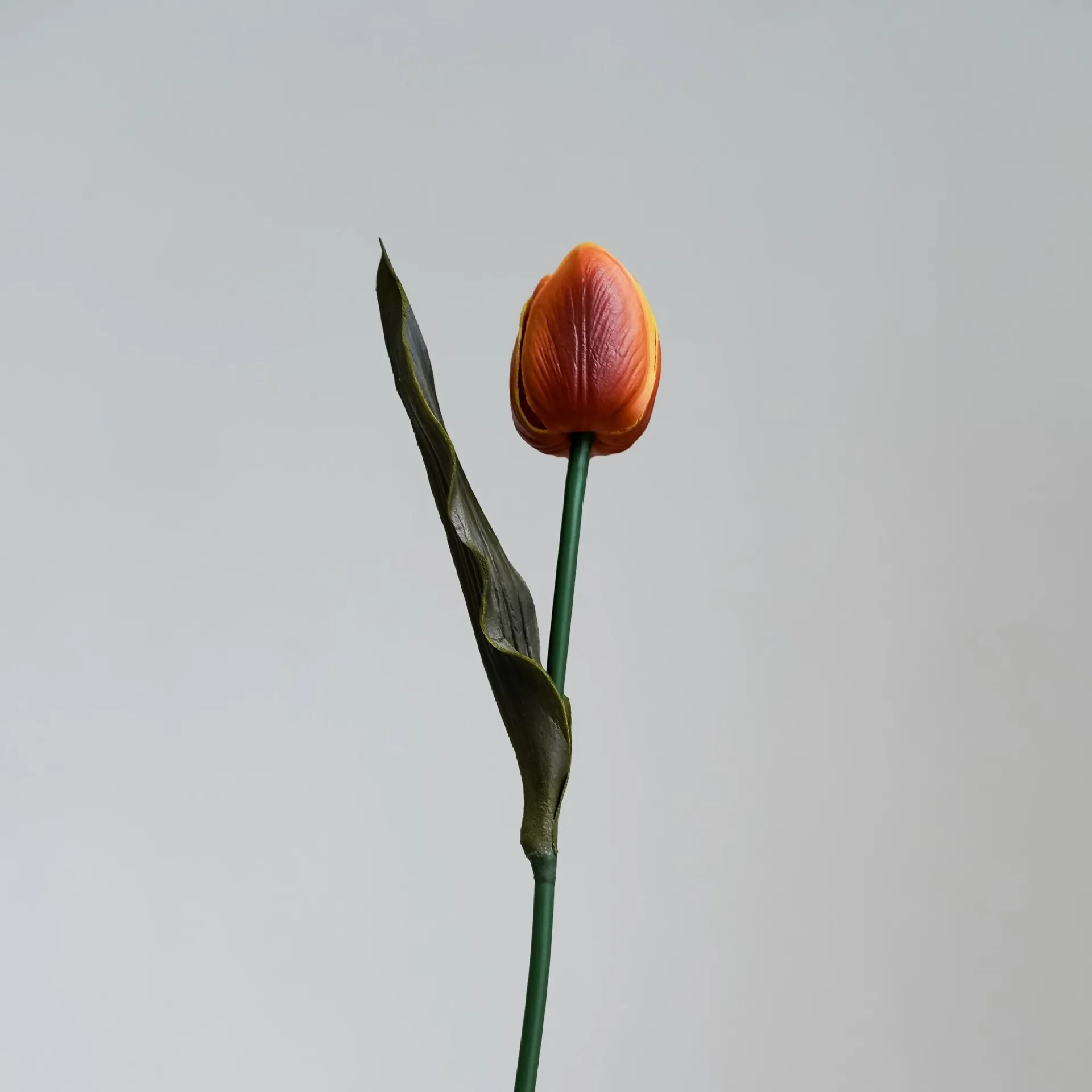 Multicolor Bohemian Style Simulated Floral Decor Lifelike Tulips Home Kitchen Wedding Graduation Halloween Wall