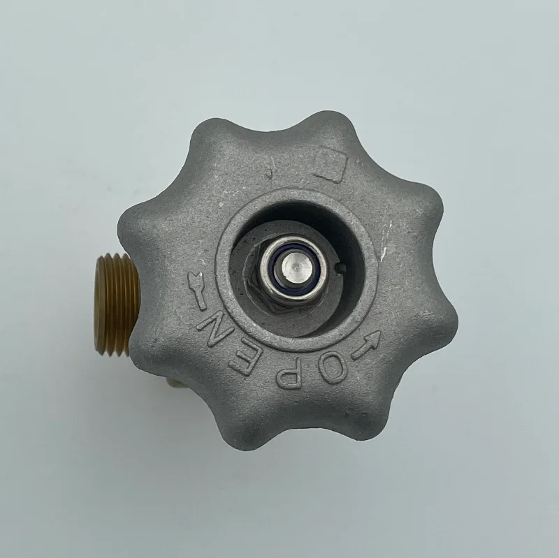 2023 High Pressure CO2 Gas Cylinder Handweel Valve Thread W21.8
