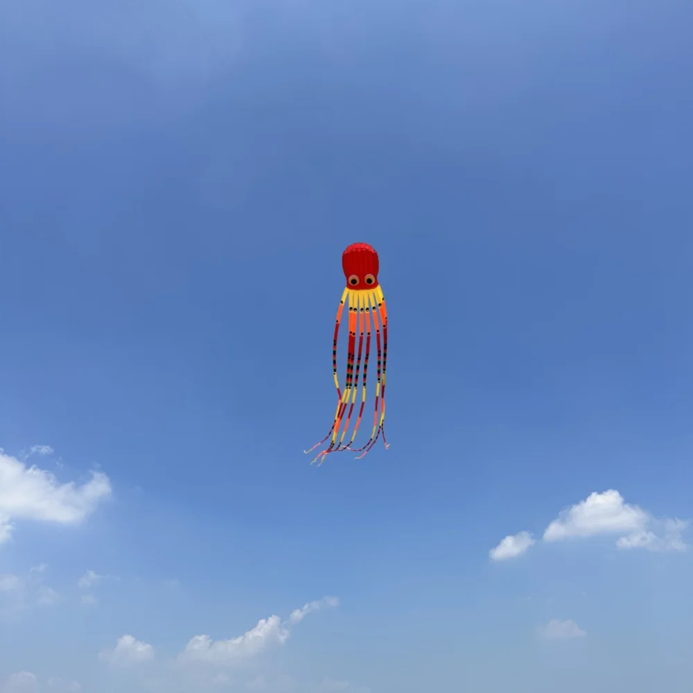 Easy to Fly Parent Child Interaction Octopus Kite in the Breeze 3D Soft Kite Skeletonless 15m Animal Tear Resistant Kite