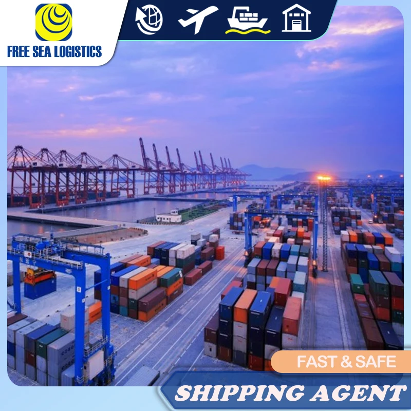 Cheaper  FCL LCL Sea Shipping freight forwarder from China to MIAMI by FOB DDP DDU