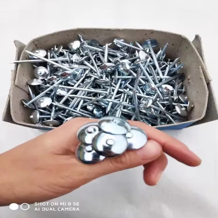 Galvanized umbrella head roofing nails with washer twisted corrugated roofing nails Galvanized Twisted Shank