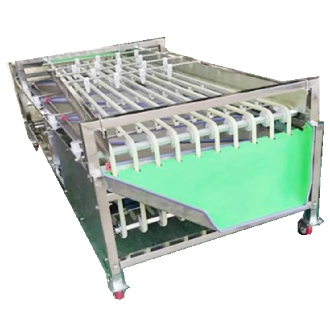 citrus graded waxing line orange drum classifier  grading machine