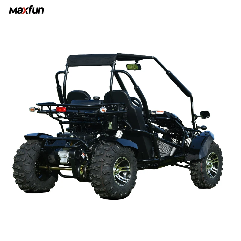 2024 Off Road Buggy 200cc Dune Buggy Go Karts for Adults