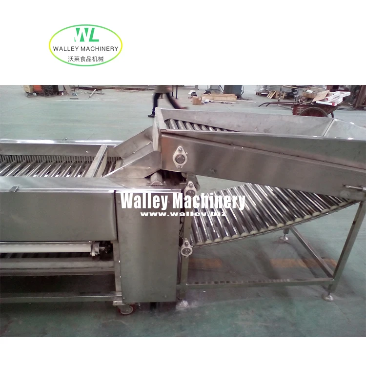 Factory Supply Price Automatic  Vegetables and Fruits Roller Grader Suit Cucumber Cherry Tomato Grading Sorting