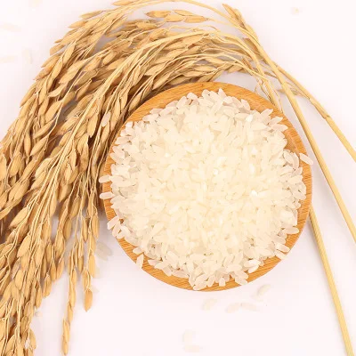 
Factory wholesale high quality natural organic rice grain rice on sale 