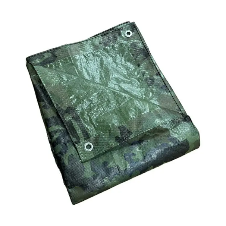 China Product Price List Eyelet Tarpaulin Cover Plastic Canvas