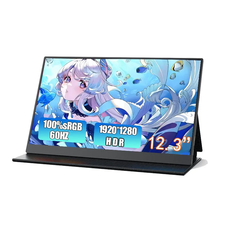 12.3 inch LCD LED UHD 1080P 60Hz Gaming Monitor IPS Panel Screen USB Display Portable Monitor For Mobile