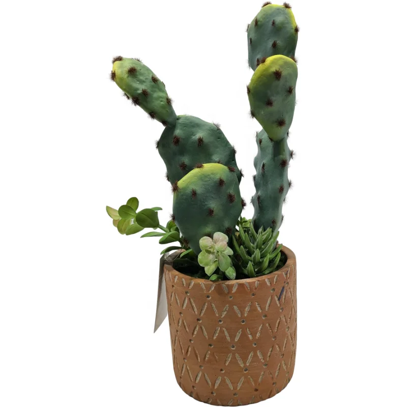 
38CM Succulent cactus Interior decoration 