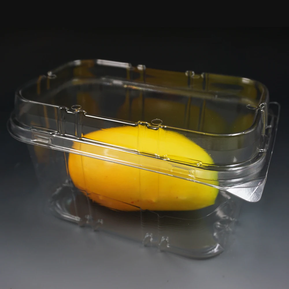 Hotel Buying Request Disposable Plastic Food Container for Fresh Fruit With Lid Biodegradable Plate