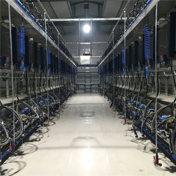 Keep the milk fresh Electronic metrology  Milking Parlors Automatic Cow Machine System