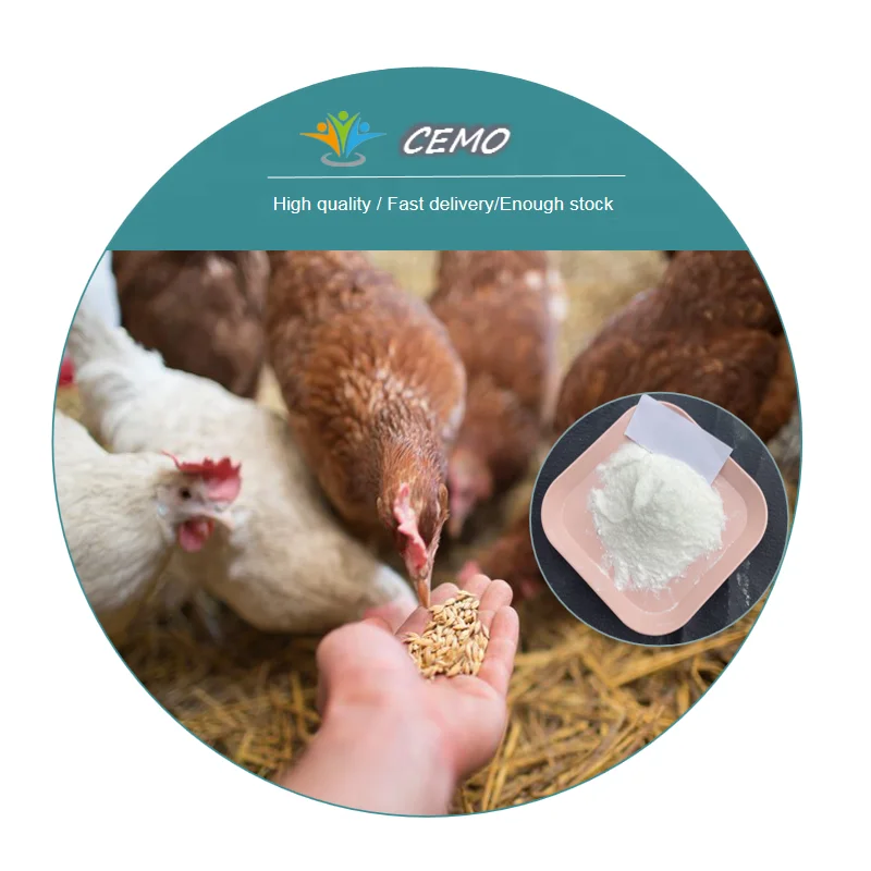  L-Threonine CAS 72-19-5 98.5% Feed
