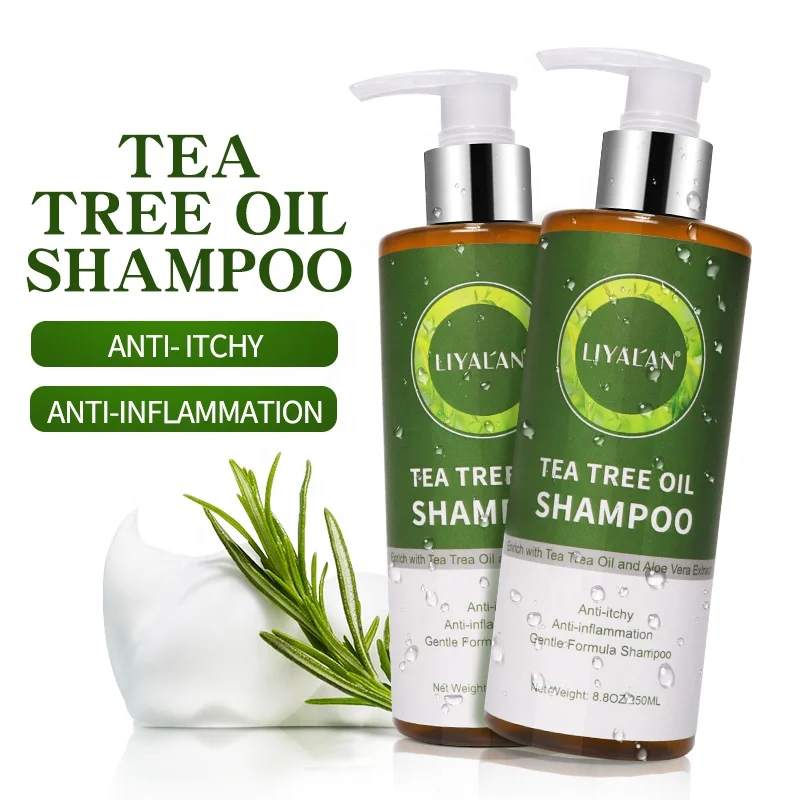 Wholesale Private Label Anti Dandruff Anti-itch Anti-inflammation Natural Tea Tree Oil Shampoo