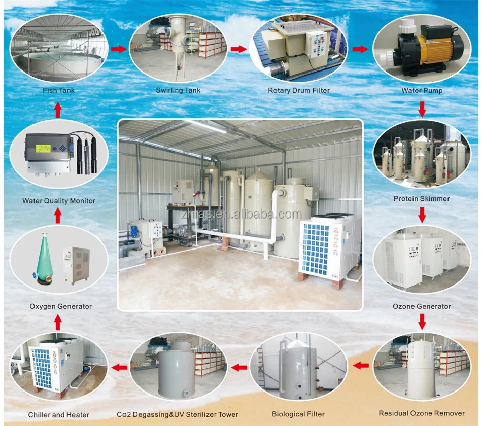 Factory price OEM custom durable intensive indoor ras tilapia fish farm aquaculture system
