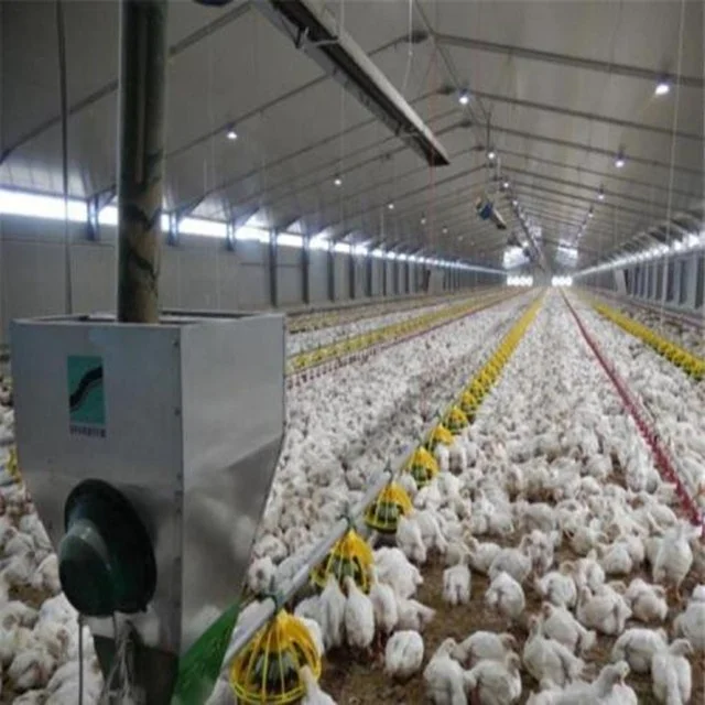 Full Auyomatic System Egg Layer Poultry House Design for Chicken Farm