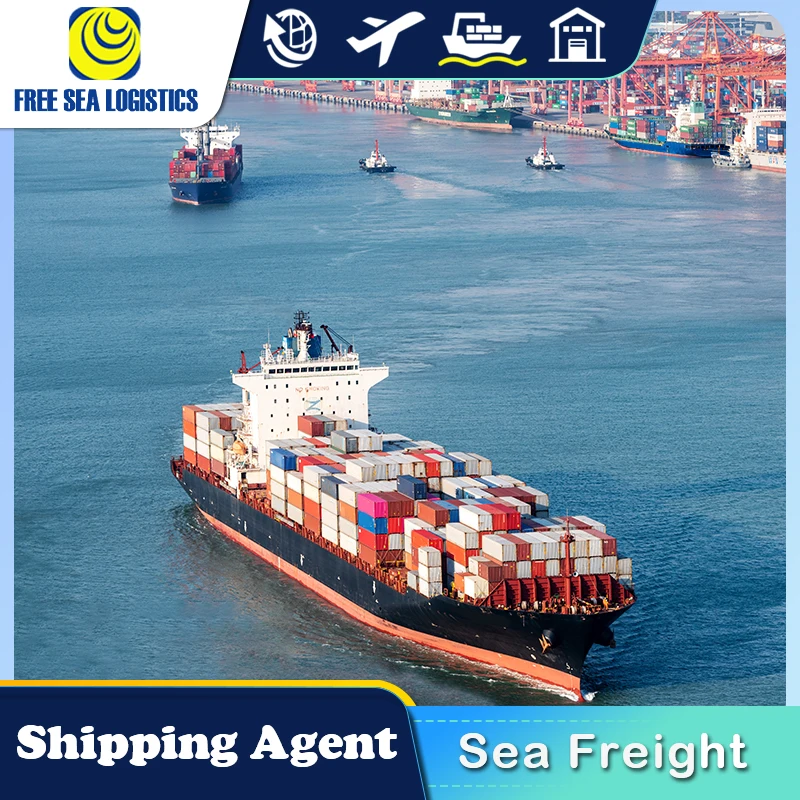 Cheap Fast DDP DDU FCL LCL sea Shipping freight forwarder from China to UAE Oman Saudi Arabia by sea shipping