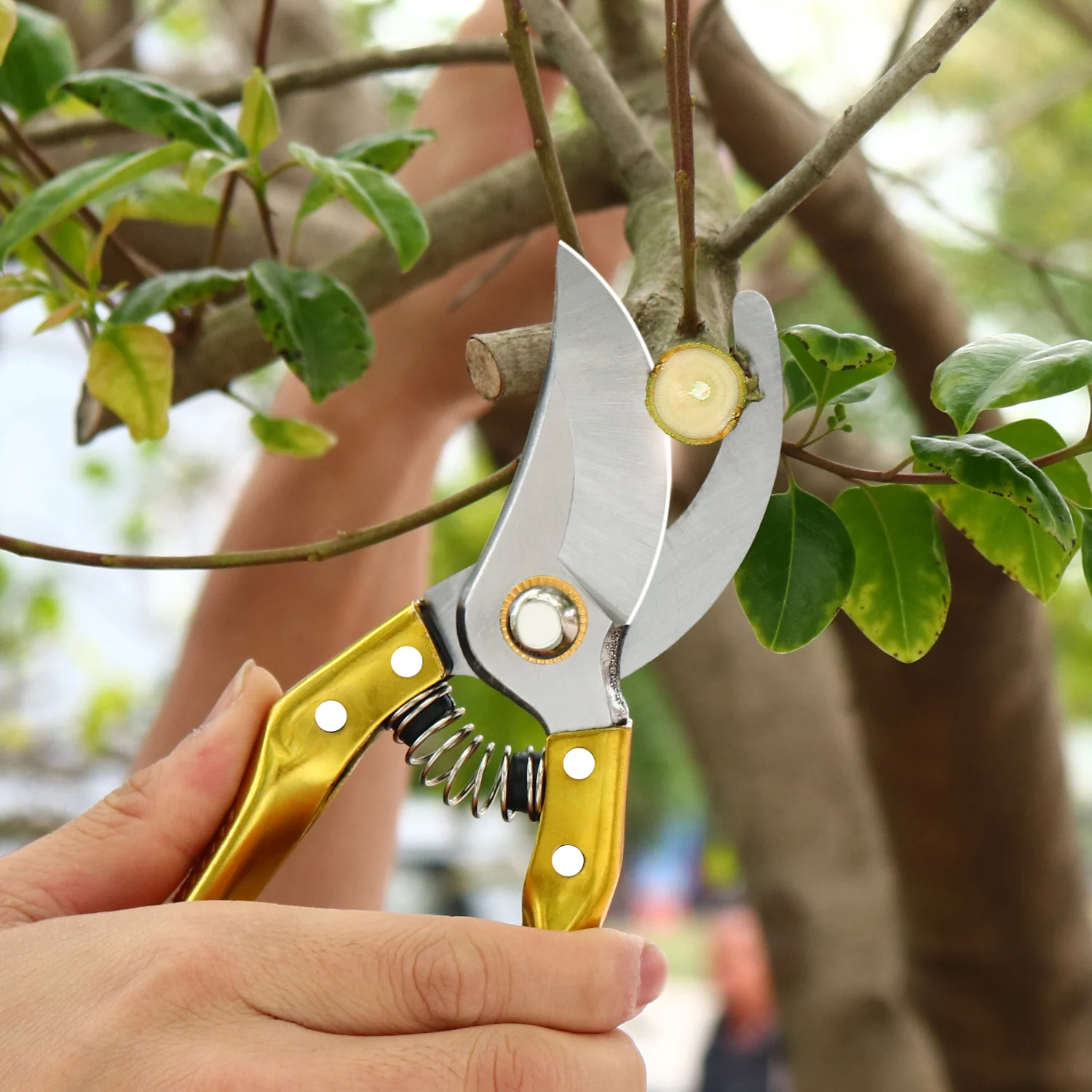 High quality pruners serpentine multifunction household scissors sharp pruning shears Strong diameter