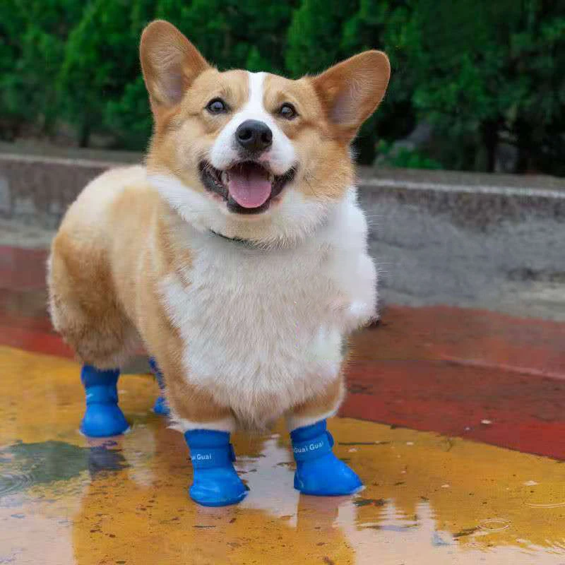 Outdoor Dog Boots Waterproof Adjustable Silicone Shoes Adjustable Strap Non-Slip Shoe for Rain Paw Protector for Hiking