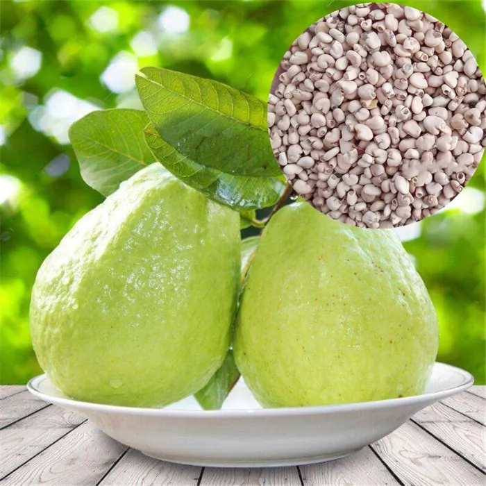 Продажа семян тайского зеленого гуавы fan shi liu оптом