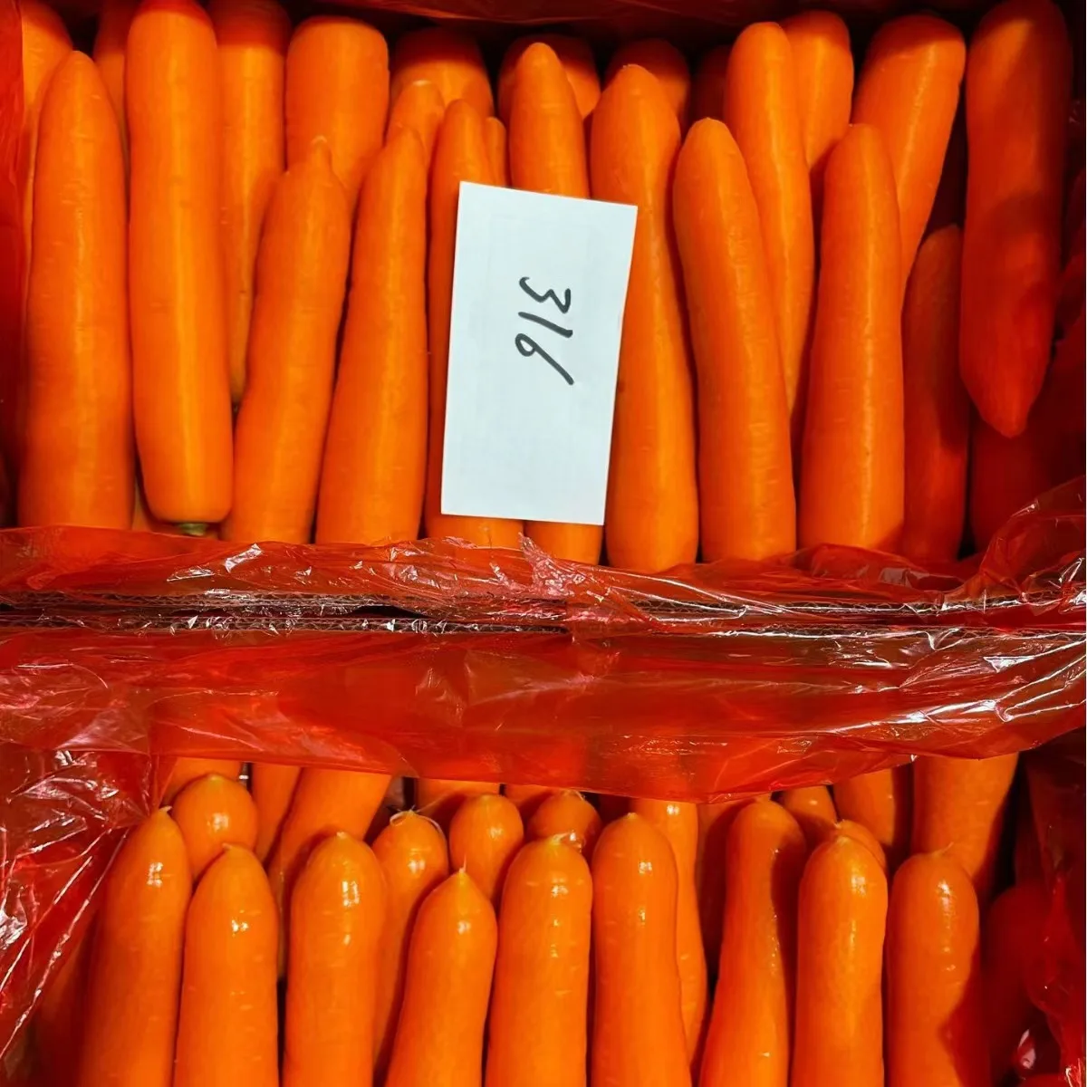 Premium Fresh Vegetable Fresh Carrots in Bags All Specifications of Fresh Carrots