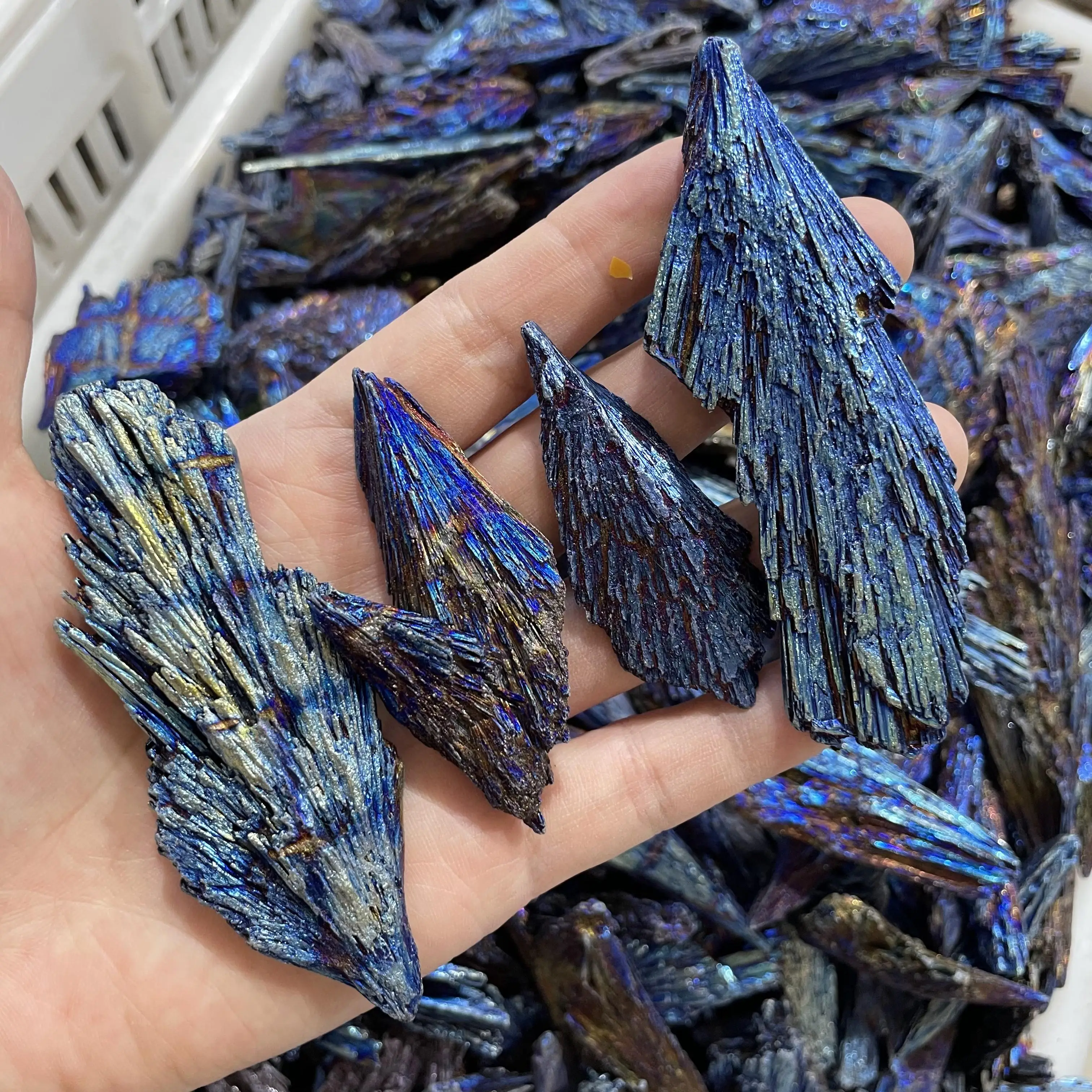 Wholesale natural blue electroplated black tourmaline peacock feather rough stones angel aura minerial stones