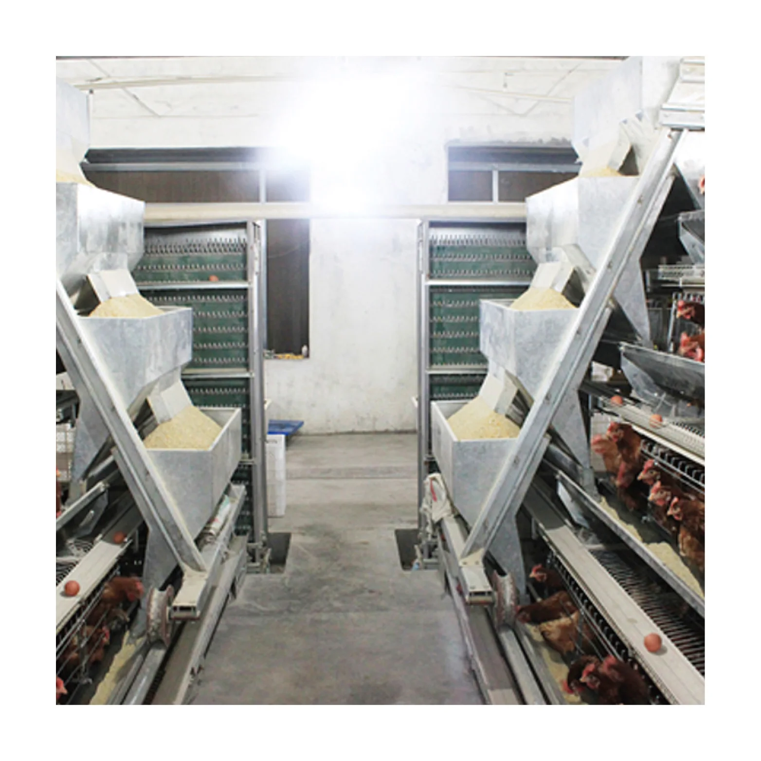 Оборудование для кормления кур по хорошей цене Автоматическая Аккумуляторная система клетки птицы на продажу