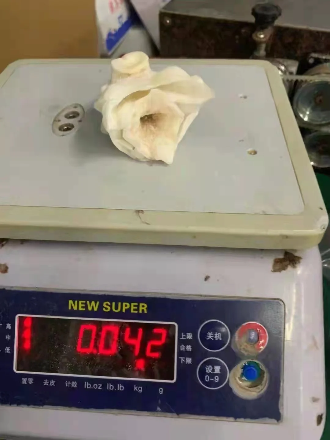Calamari necks Dosidicus Gigas Wholesale Giant Squid neck whole cleaned squid tentacles