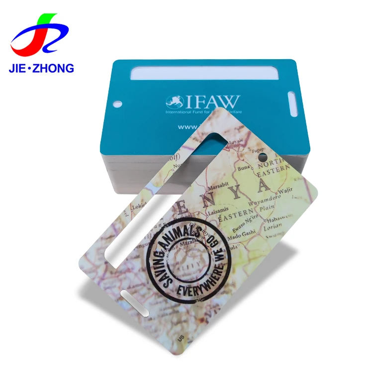 Personalized Customized PVC Plastic VIP Member Loyalty Card With Hole