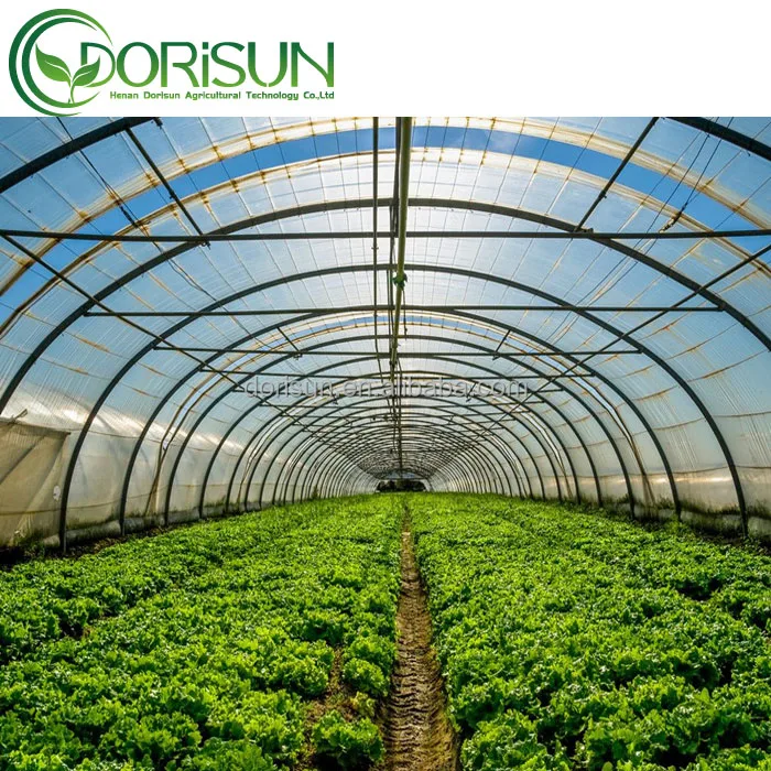 Hot single-span poly tunnel winter resistant inside sun shading greenhouse agricultural mist blower sprayer green house