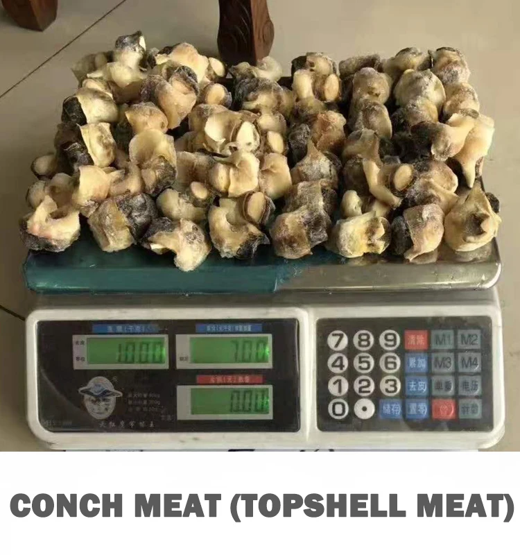 
Factory Frozen Topshell Meat Conch Meat 