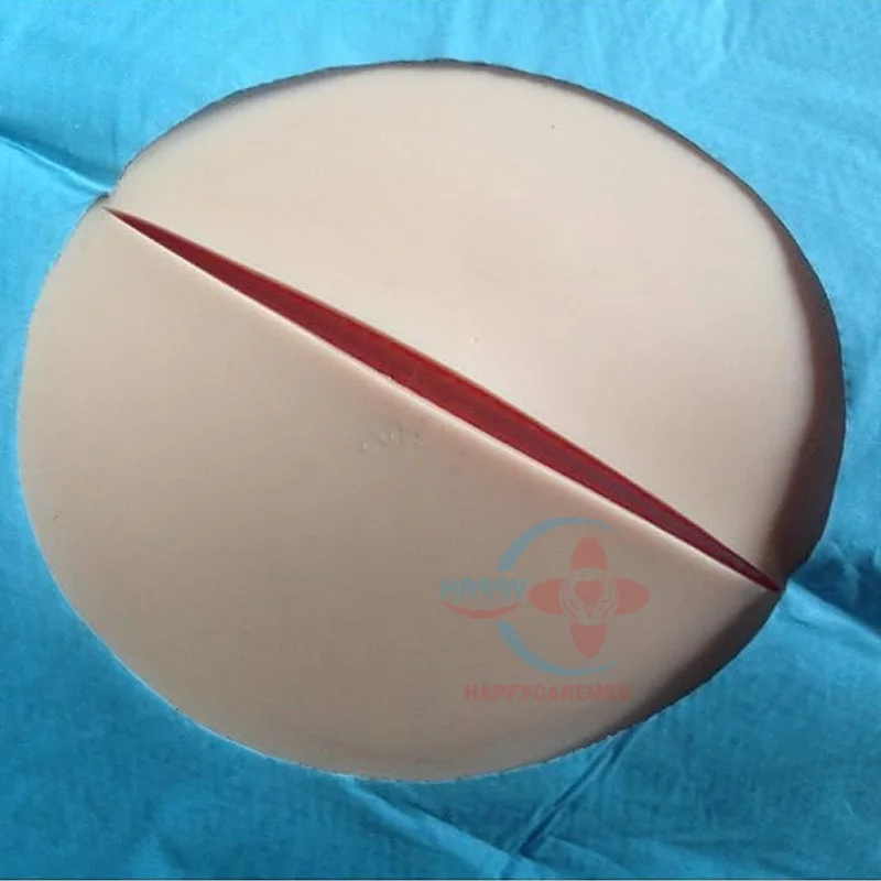 HC-S534 Medical Suture Training ,Stitching practice module /Suture Practice Module Model with base