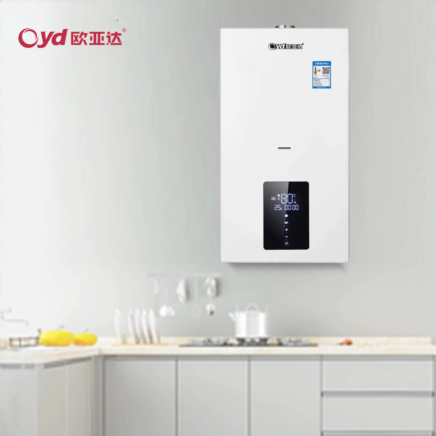 Gas Boiler House Heating Device Dual Circuit With App Control Reasonable Price For European Market gas boiler