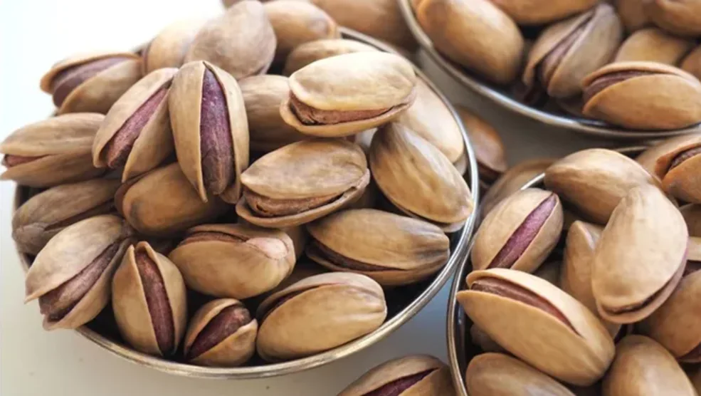 Best Quality Turkish BLUEBERRIES Organic Blueberry