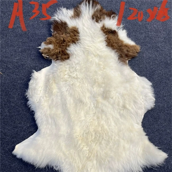 Пушистый и мягкий. Мохнатая овца. Гигантский Размер