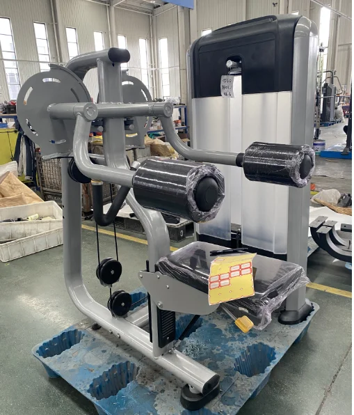 Hot-sale Matrix Lateral Raise Machine Commercial Fitness Gym Equipment Sports Workout Equipment