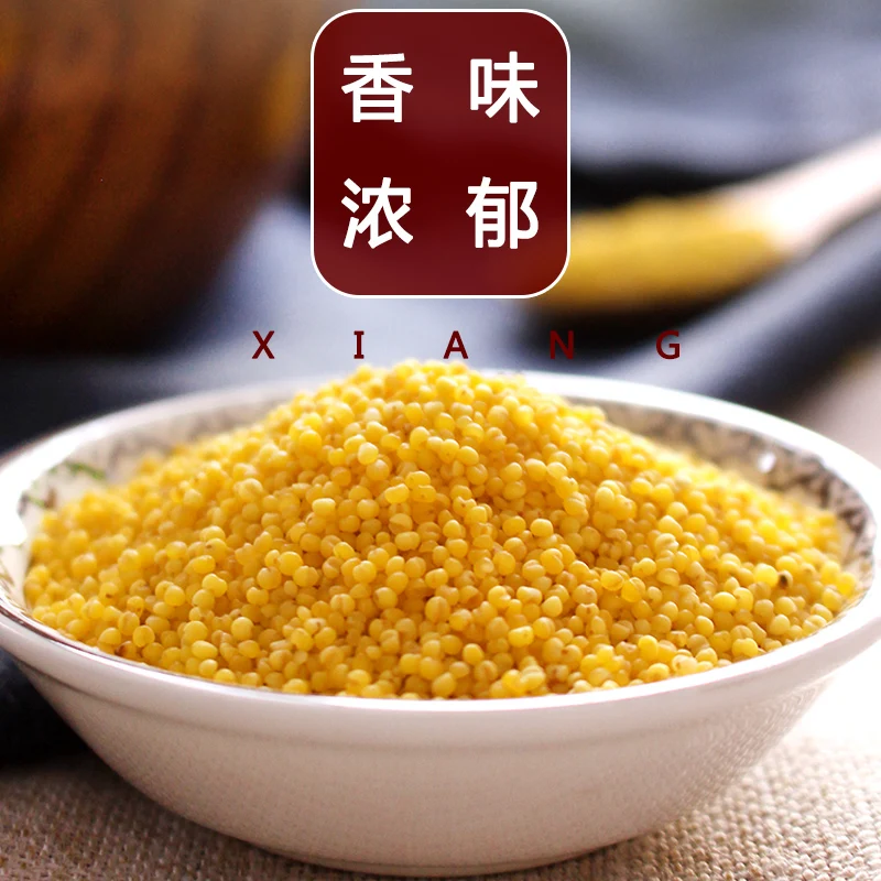Price Of 100% Natural Protein-Rich Yellow