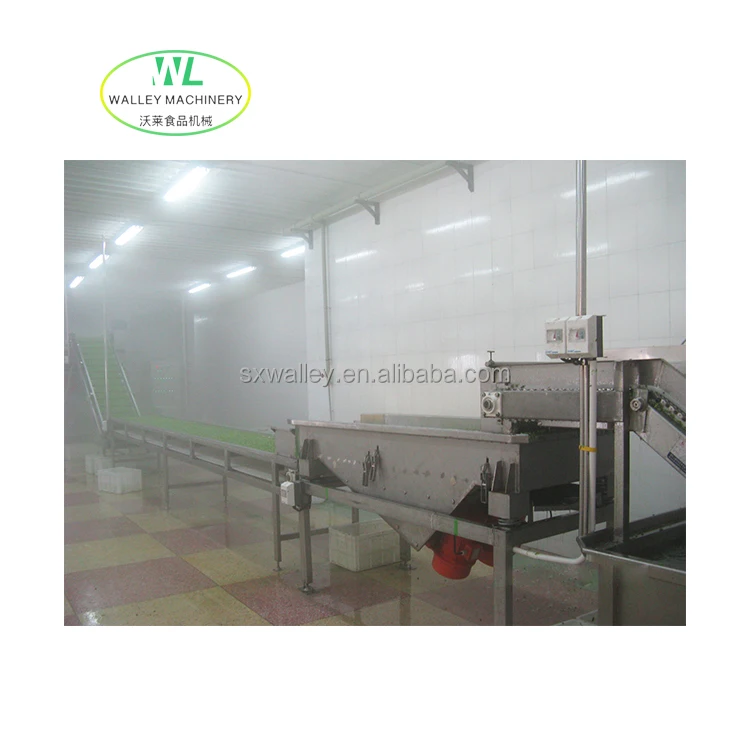 Hotsale Industrial Frozen Fruits and Vegetables Quick Freezing Line Okra Fast Freeze Equipment Rice Blast Freezing Machine