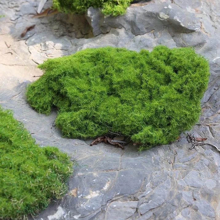 Diy Natural Art Green Sheets For Showing Preserved Pole Moss Ball Dried Real Flat Fake Grass Artificial Forest Moss Grass Wall