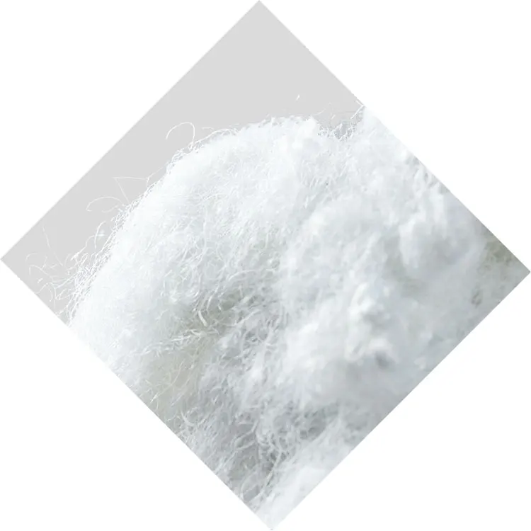 Recycled Hollow Conjugated Siliconized Polyester Fiber Soft Polyester Fiber Filling with Low Price
