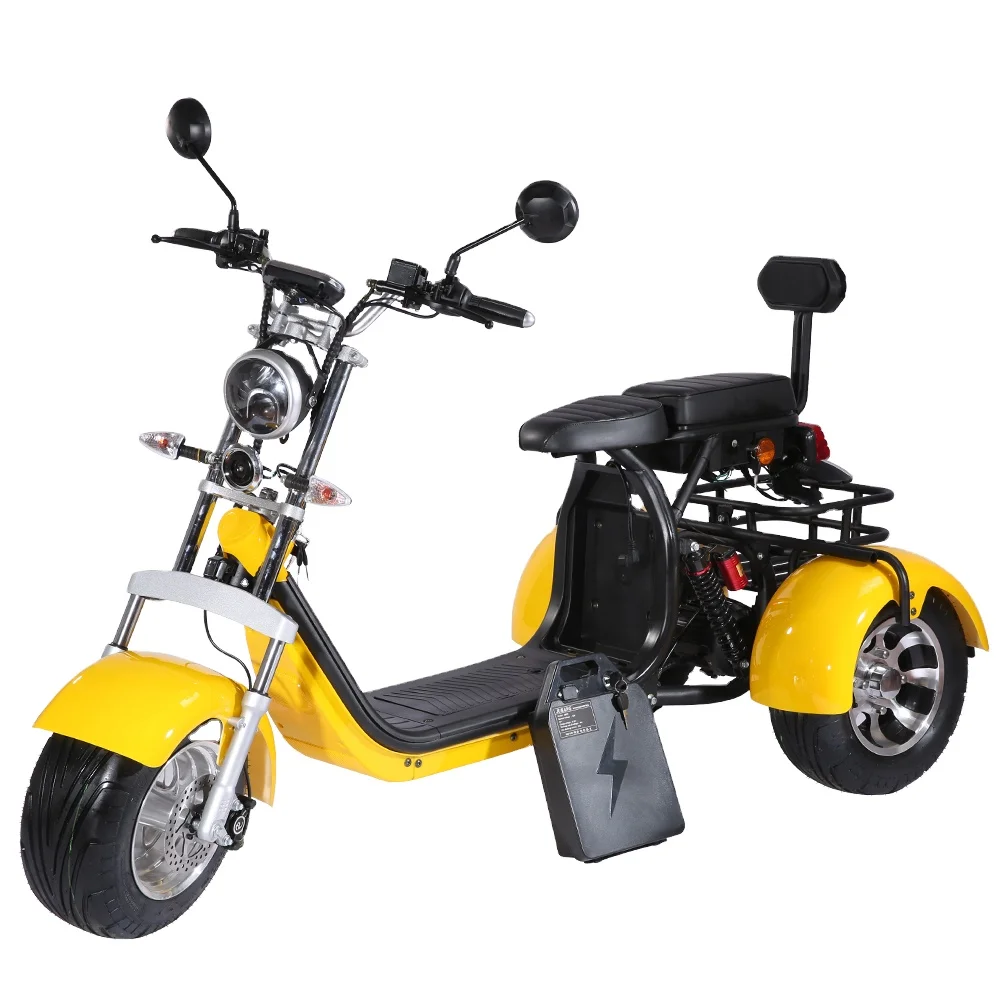 Amotoelectric tricycles 3 wheel 2000w double battery 60v20ah lithium battery 3 wheel scooter citycoco tricycle EEC COC