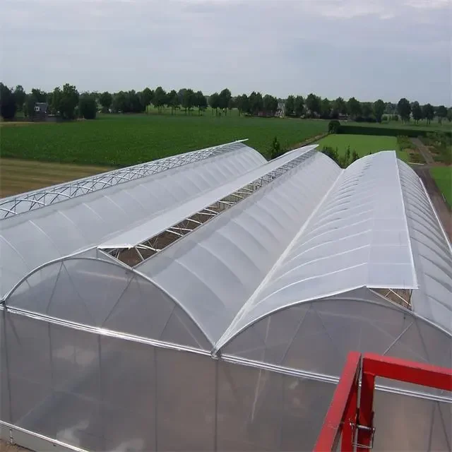 Buy Cheap hydroponic greenhouse frame plastic film green house agricultural greenhouses available